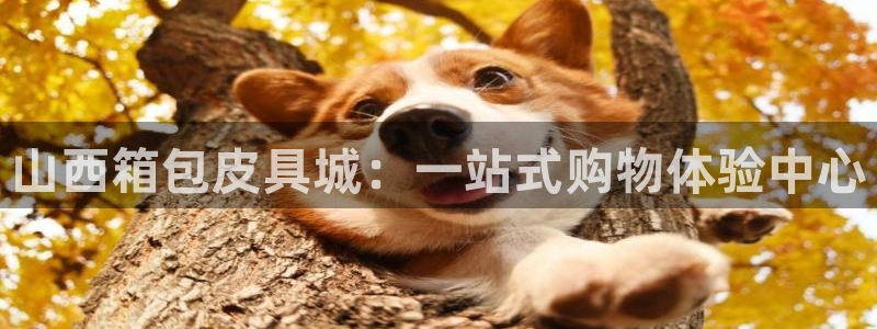 海南意昂体育3发展怎么样