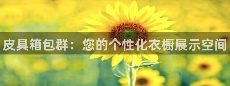 意昂体育3注册
