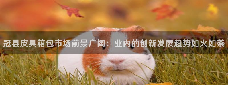 意昂体育3招商电话号码查询是多少
