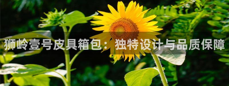 意昂体育3招商电话是多少