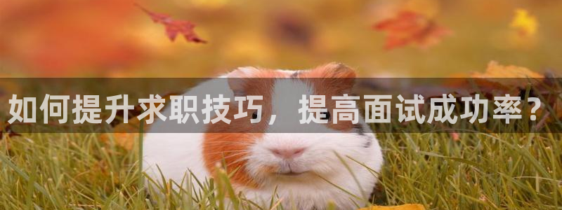 意昂3娱乐平台