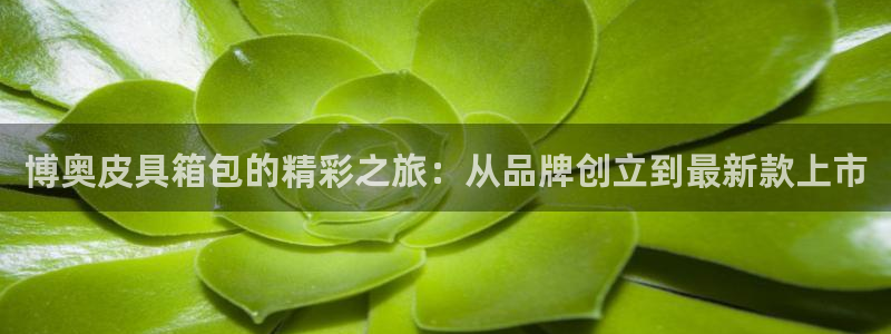 意昂3新能源