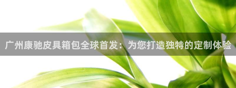 意昂体育3招商电话地址查询