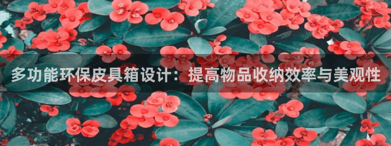 意昂3集团简介