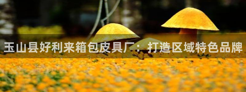 意昂体育3平台注册流程视频