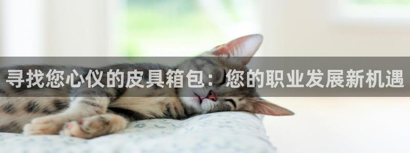意昂体育3招商电话