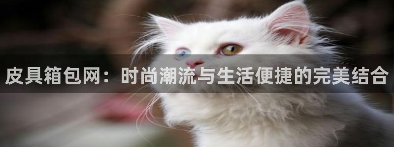 意昂体育3是干嘛的公司