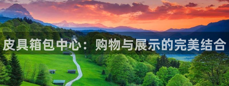 意昂平台体育
