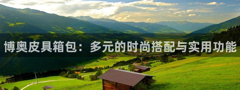 德国意昂3集团