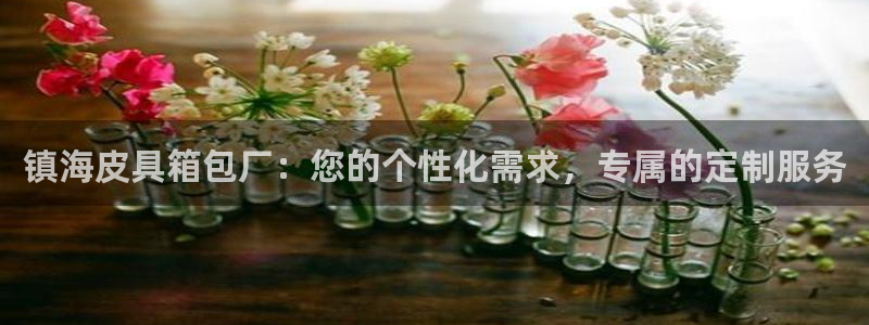 海南意昂体育3