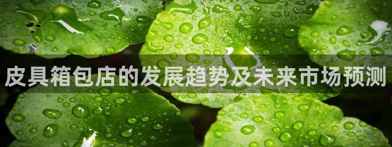 意昂体育3平台假的吗是真的吗