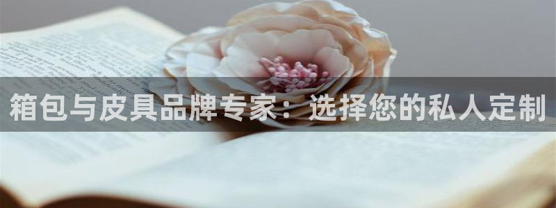 意昂3娱乐代理怎么样