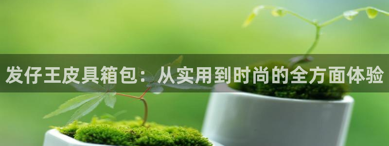 意昂体育3平台注册流程视频