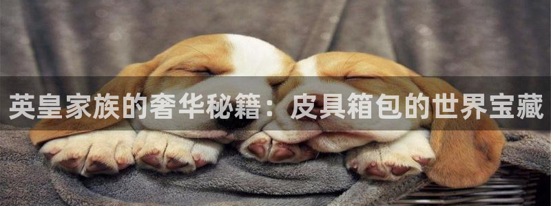 意昂体育3官方客服电话