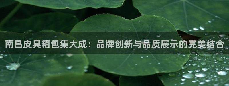 意昂体育3招商电话号码是多少号