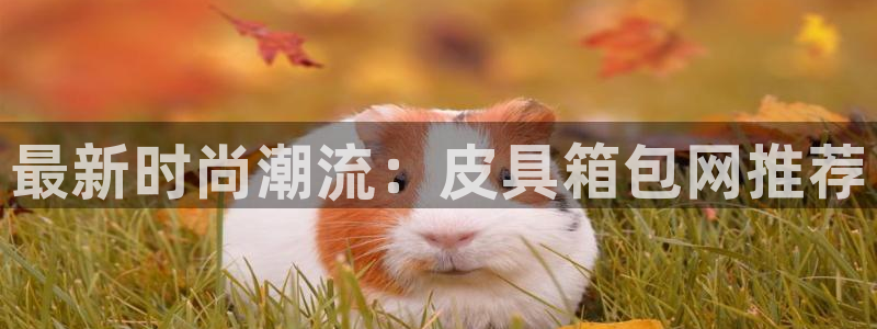意昂体育3平台是正规平台吗知乎