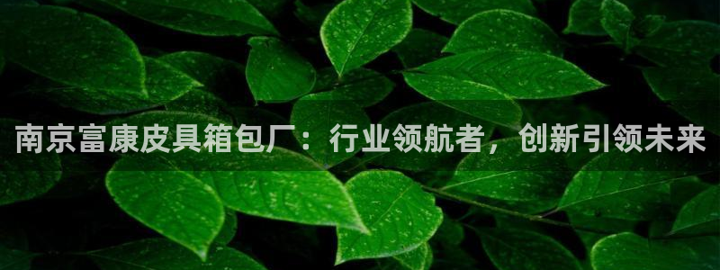 意昂平台体育