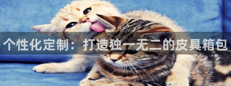 意昂体育3开户