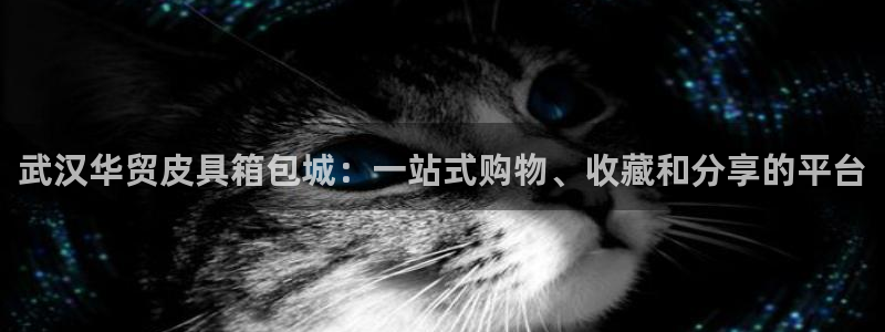 意昂3代理
