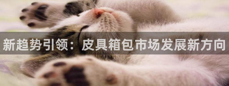 意昂3代理