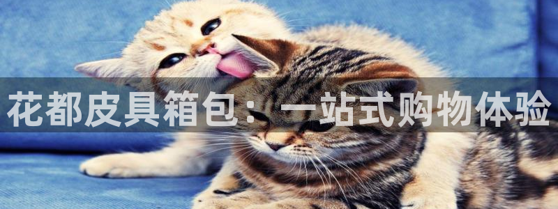 意昂体育3招商电话是多少