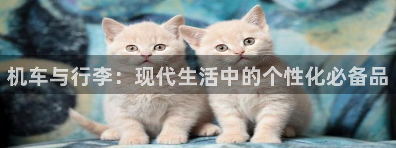 意昂体育3招商电话