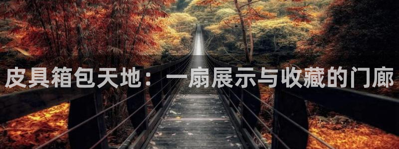 意昂体育3平台注册流程视频