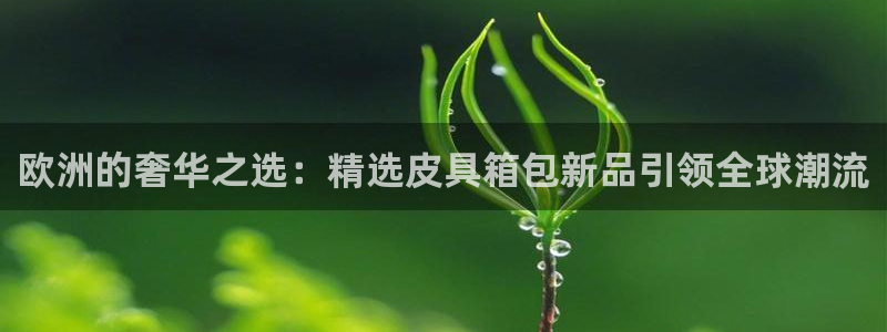 意昂体育3官方客服电话