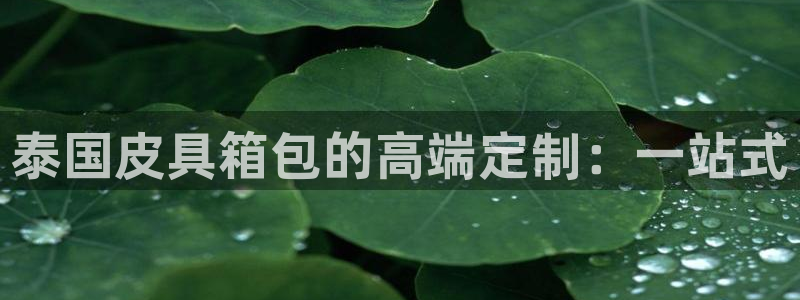 意昂体育3平台假的吗是真的吗吗