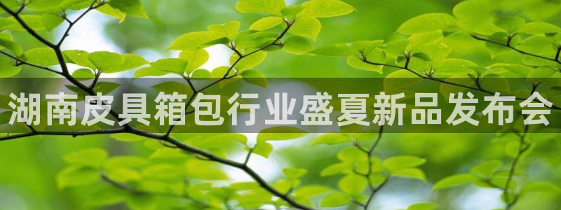 海南意昂体育3发展怎么样