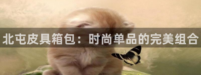 意昂3神州