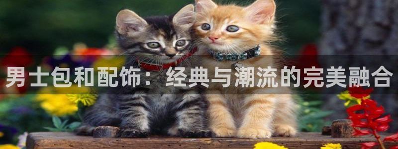 意昂3代理
