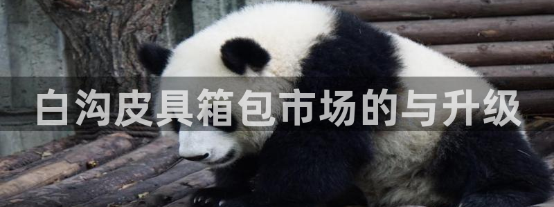 意昂体育3招商电话地址是多少