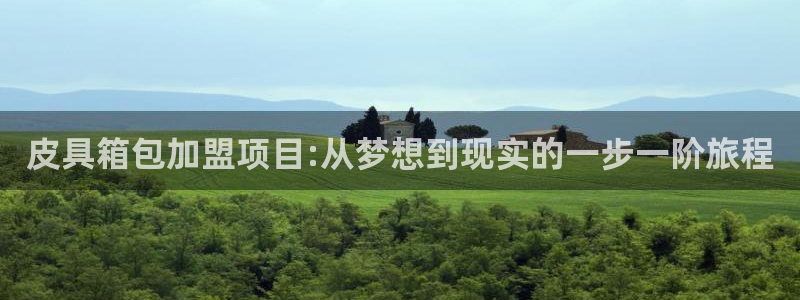 意昂3新能源