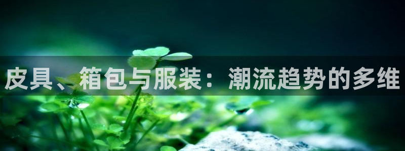 意昂3娱乐