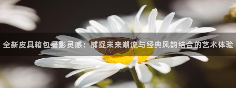 意昂3集团