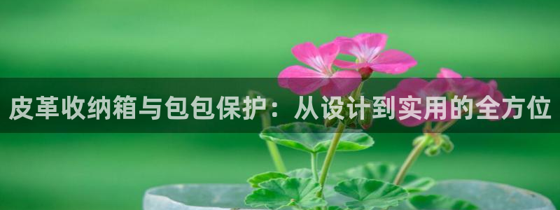 意昂体育3平台注册流程视频