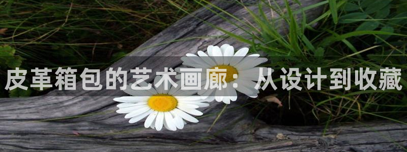 德国意昂3集团