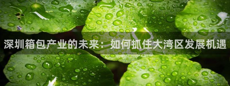 海南意昂体育3