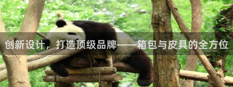 意昂体育3招商电话号码是多少啊