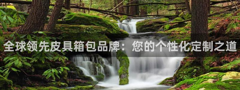 意昂体育3平台注册流程图