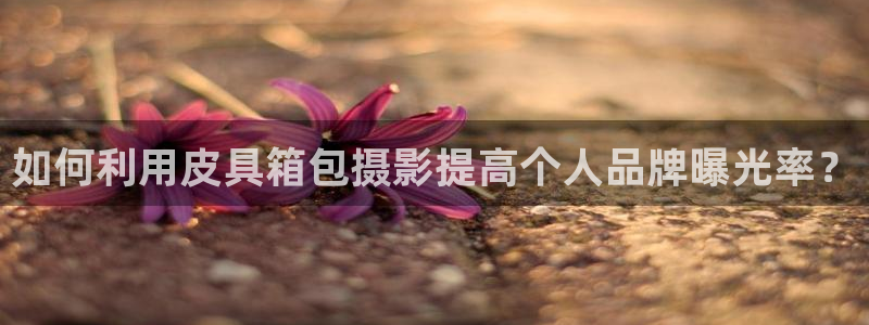 意昂体育3招商电话号码查询是多少