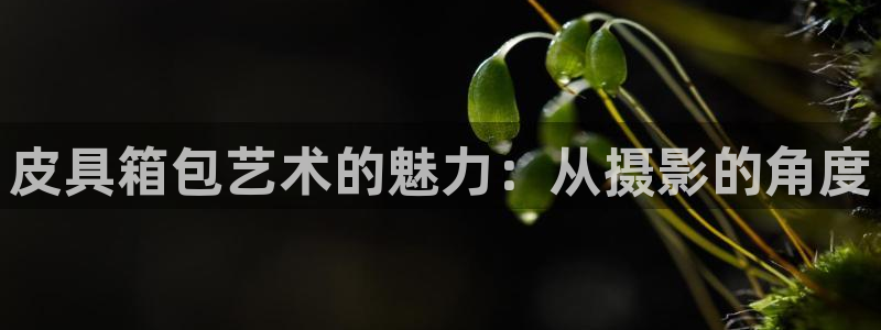 意昂体育3平台注册要钱吗是真的吗