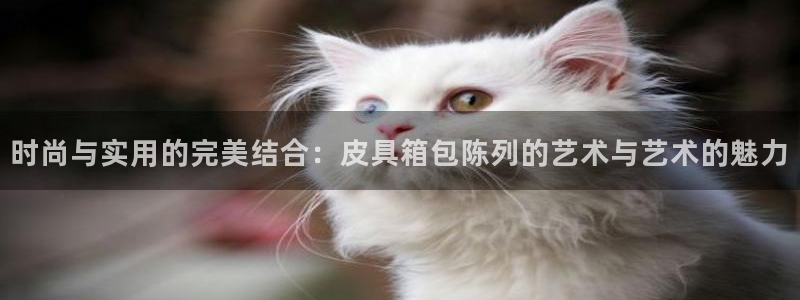 意昂体育3平台是正规平台吗安全吗