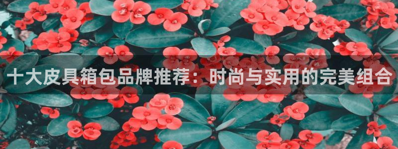 意昂3娱乐下载