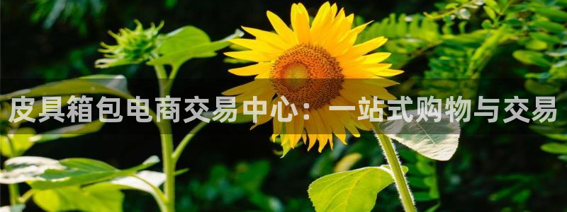意昂体育3注册