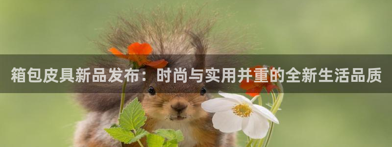 意昂3集团E.ON