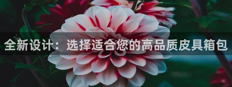 意昂体育3招商电话地址查询