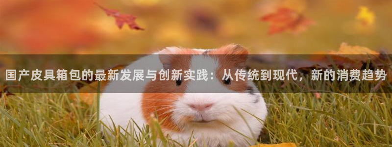 意昂体育3招商电话号码是多少号