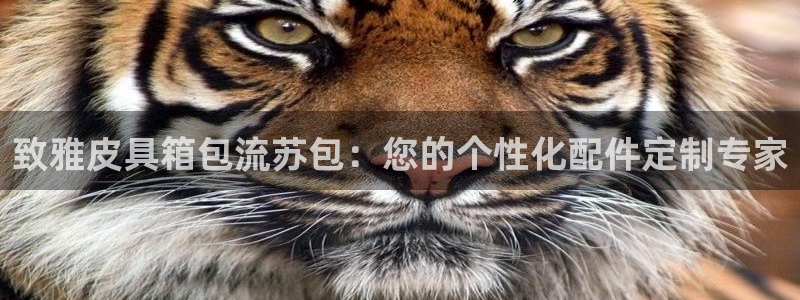 意昂体育3招商电话号码查询